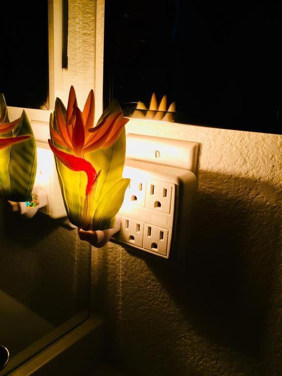 Pacific Beach Butterfly Suite ซานดิเอโก ภายนอก รูปภาพ